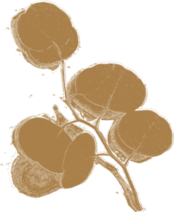 Salle de thérapie Light Hands - Cabinet de thérapies naturelles